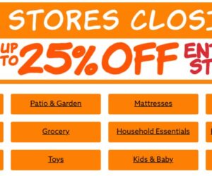 Big Lots Ad