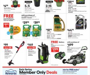 Lowe's Ad